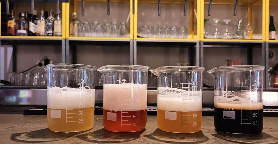 Craft Beer Tasting and tapas in Valencia - The 90-minute format: four beers, four tapas, and a clear plan