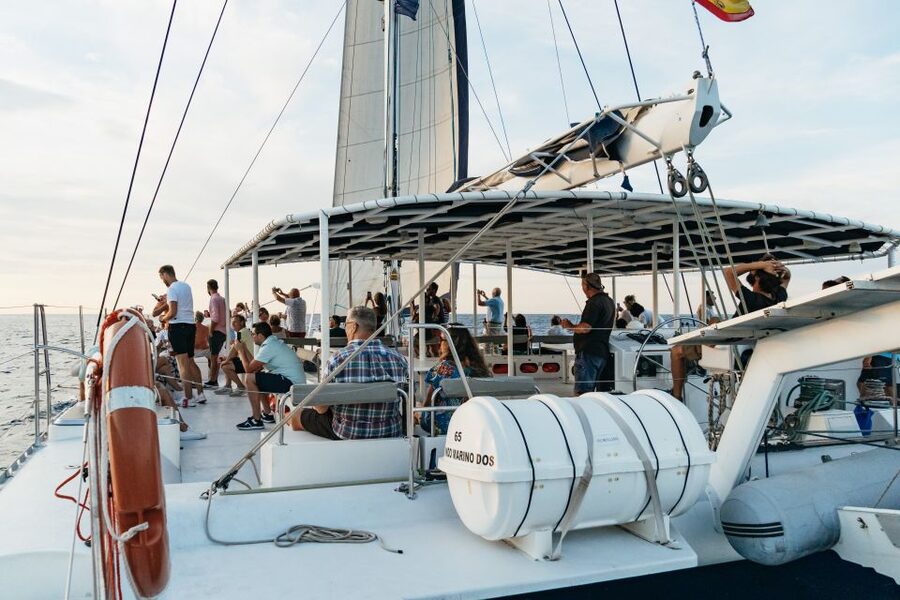 Dénia: Daytime or Sunset Catamaran Cruise - Who Should Book This Cruise in Denia