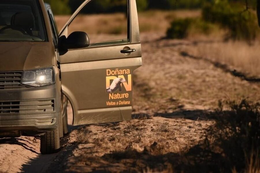 Discover Doñana & Iberian Lynx: Premium Nature Tour - Ecosystems you’ll likely see: marshland to woodland edges