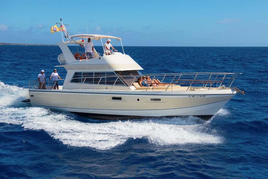 Discover whales in Tenerife: exclusive yacht tour with swim and lunch - Key points before you sail