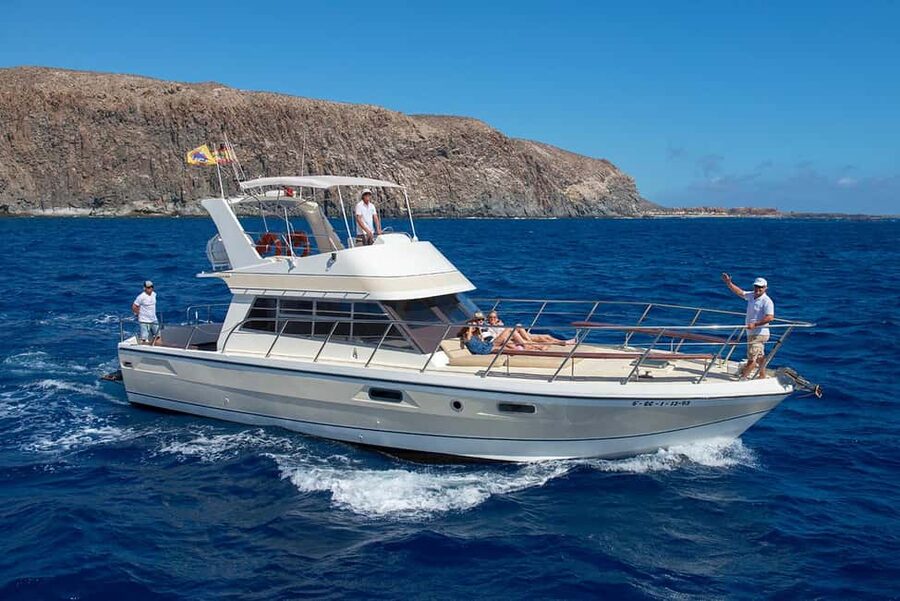 Discover whales in Tenerife: exclusive yacht tour with swim and lunch - Why this Tenerife whale-watching yacht setup feels different