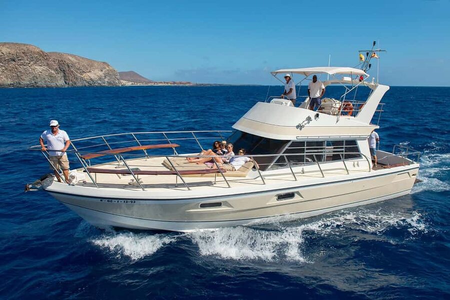 Discover whales in Tenerife: exclusive yacht tour with swim and lunch - Onboard comfort: space, shade, restroom, and the little things