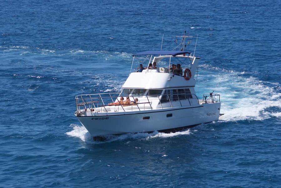 Discover whales in Tenerife: exclusive yacht tour with swim and lunch - The swim stop in sheltered, clear water