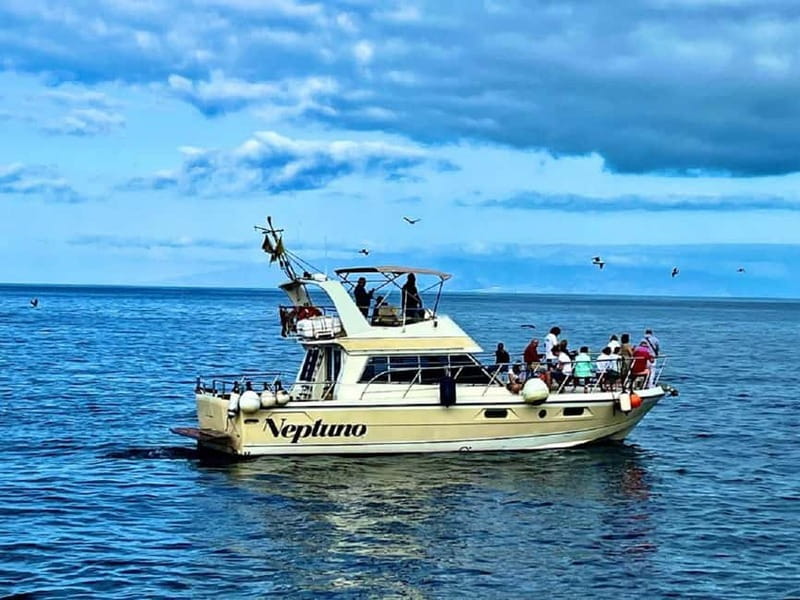 Discover whales in Tenerife: exclusive yacht tour with swim and lunch - Getting to Neptune: Los Cristianos pier and pickup reality