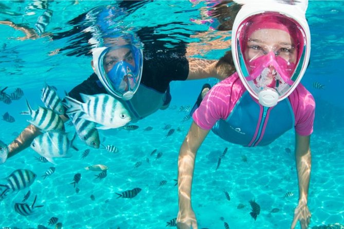 Dolphin Mini Cruise at Playa del Carmen - Who This Works Best For (And Who Might Be Happier Elsewhere)