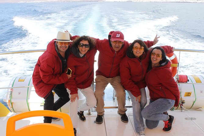 Dolphin Mini Cruise at Playa del Carmen - How the Dolphin and Whale Search Actually Works