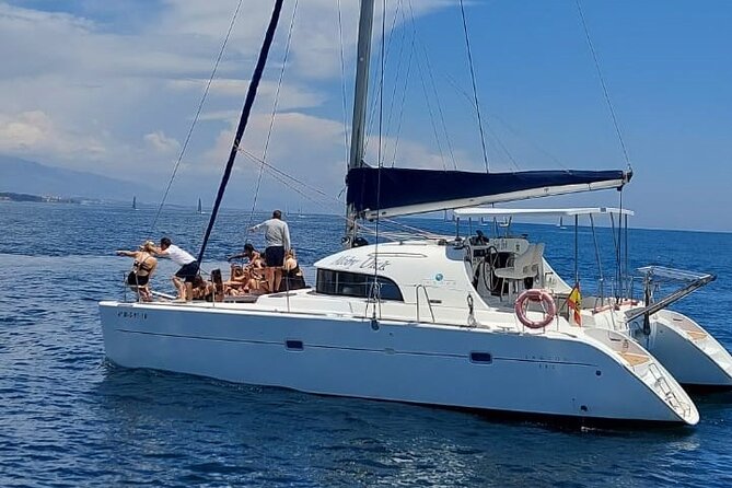 Dolphin trips on a catamaran - Key things that make this dolphin catamaran stand out