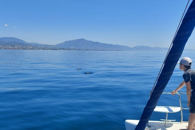 Dolphin trips on a catamaran - Leaving Estepona: what the start feels like
