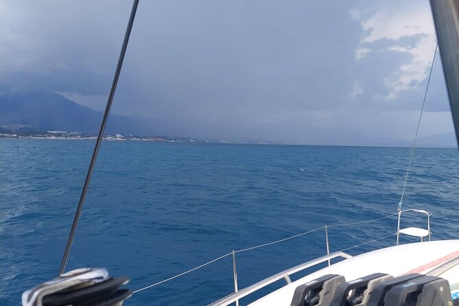 Dolphin trips on a catamaran - The swim break: when you can bathe and what to bring