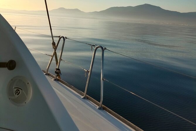 Dolphin trips on a catamaran - The Lagoon Catamaran 380: comfort, space, and that “not too bumpy” feeling