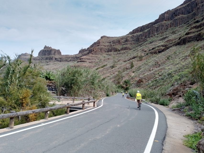 E-Bike Mountain Tour in Natural Park +Option Tapas in a Cave - Who should book this and who should skip it