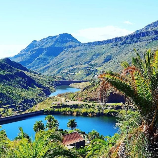 E-Bike Mountain Tour in Natural Park +Option Tapas in a Cave - Crossing Ayagaures Valley: palms, cacti, and the kind of Canarian detail you miss on foot