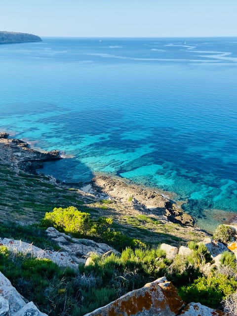El Arenal: Private Mallorca Boat Rental (No License Needed) - Cala Blava Marine Reserve: Anchor Time and Protected Water