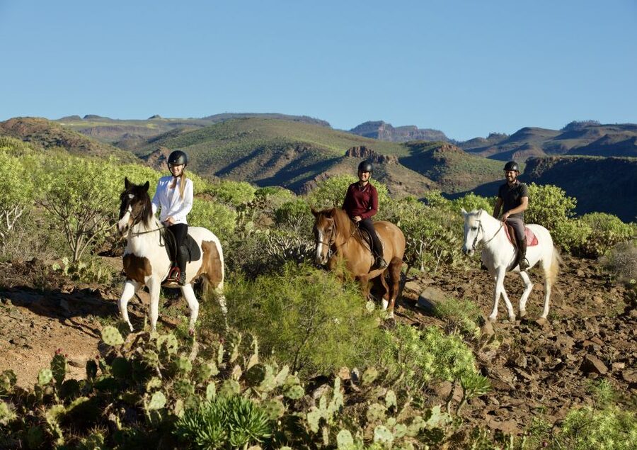 El Salobre: Horse Riding Adventure with Transfer Options - Key Highlights You Should Know Before You Go