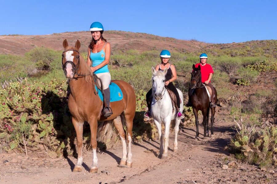 El Salobre: Horse Riding Adventure with Transfer Options - Why El Salobre Horse Riding Makes Sense in Gran Canaria