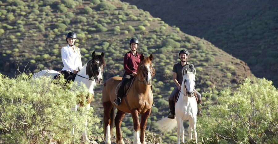 El Salobre: Horse Riding Adventure with Transfer Options - The 1-Hour Ride: Walking Pace for Getting Your Balance
