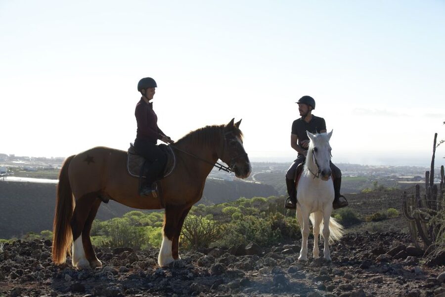 El Salobre: Horse Riding Adventure with Transfer Options - Ranch Time, Clean Stables, and How the Guides Treat the Horses