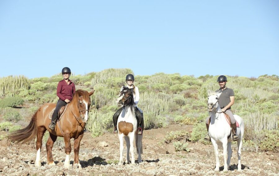El Salobre: Horse Riding Adventure with Transfer Options - What to Wear and Bring for Volcanic Trails