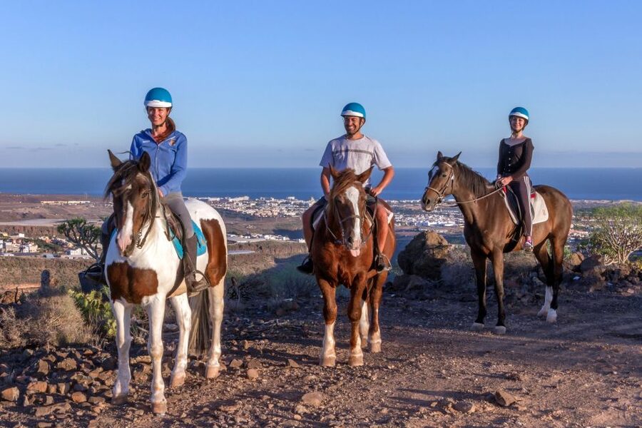 El Salobre: Horse Riding Adventure with Transfer Options - Who This Horse Ride Is Best For (and Who Should Skip It)