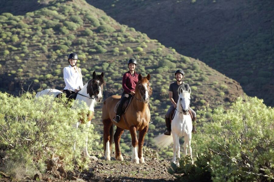 El Salobre: Horse Riding Adventure with Transfer Options - Meeting at El Salobre: Helmets On, Horses Matched