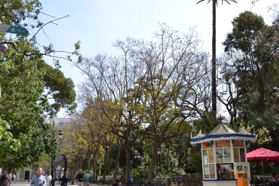 English Cádiz Tour: Walking Tour with Local Guide - Plaza de España: More Than a Pretty Square