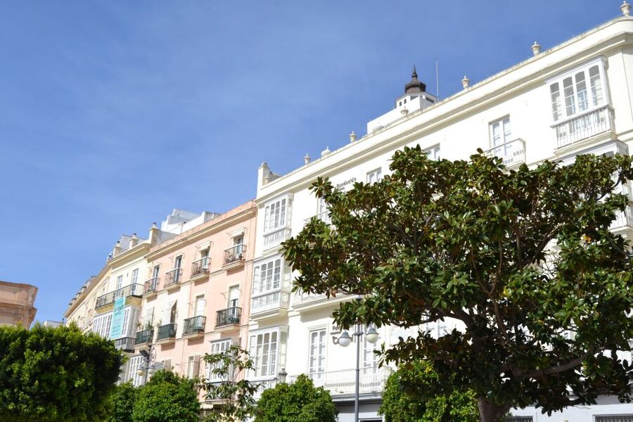 English Cádiz Tour: Walking Tour with Local Guide - What You’ll Get From the Guide Beyond the Route