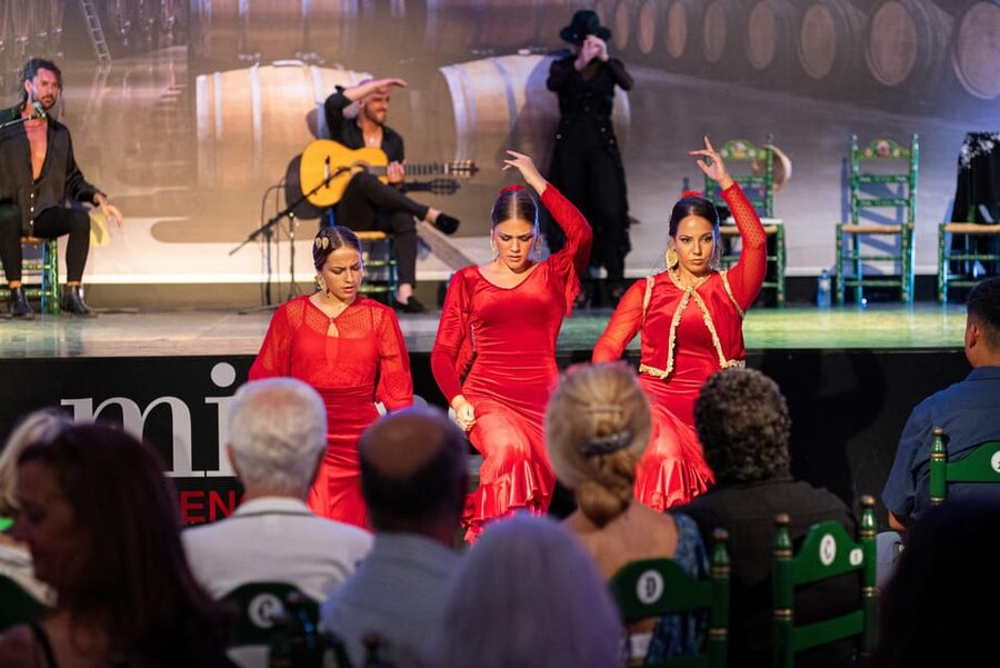 Estepona: Andalusian Flamenco Show Entry Ticket with Drink - What you are really buying at Mi Caseta Flamenco Night