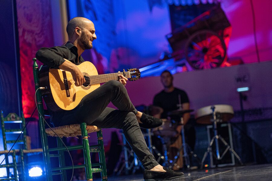 Estepona: Andalusian Flamenco Show Entry Ticket with Drink - Dinner option: Spanish specialties you can actually taste