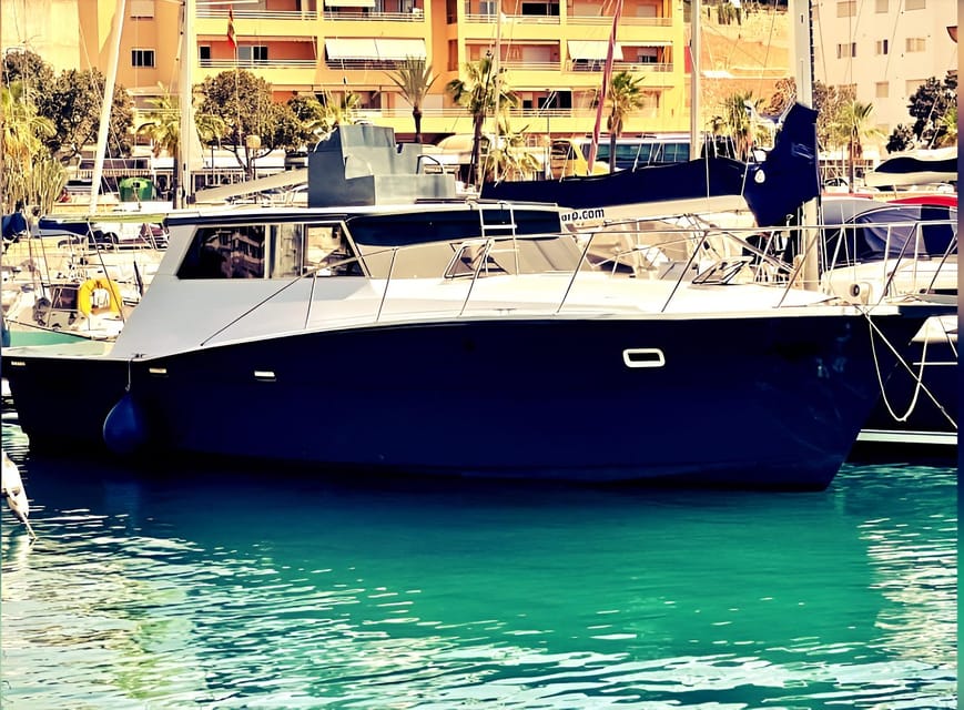Estepona: Dolphin Searching Sunset Cruise with Drink & Snack - Tips to make your evening smoother (and more fun)