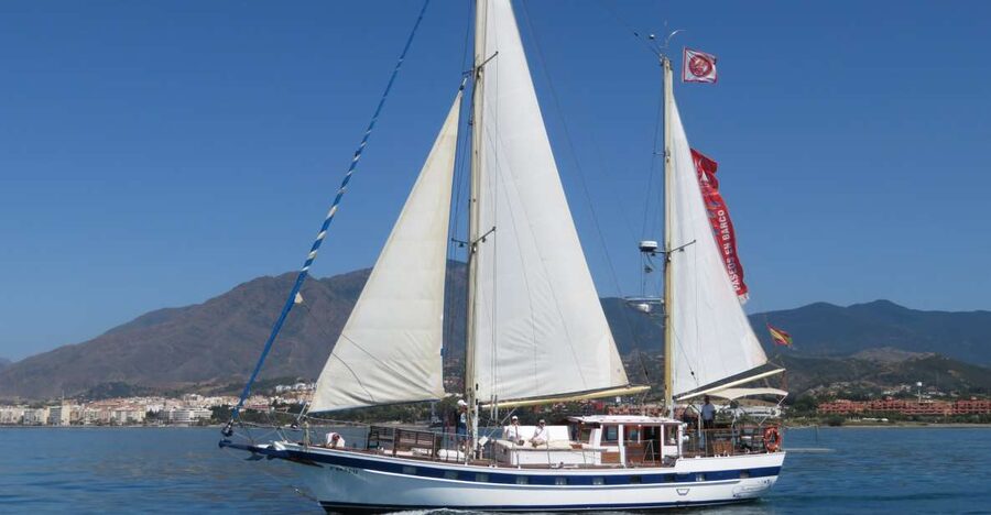 Estepona: Dolphin Watching Sailboat Cruise with Drink - Key things to know before you go