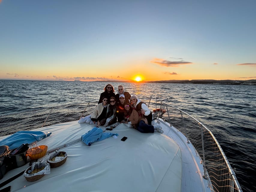 Estepona: Dolphins Searching Sea Cruise with Drink & Snacks - The 2-Hour Route on the Mediterranean, How Dolphin Spotting Happens