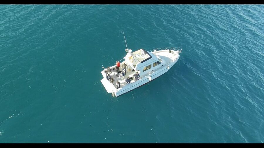 Fishing Trip all included - The 11-meter catamaran and the real size of the group