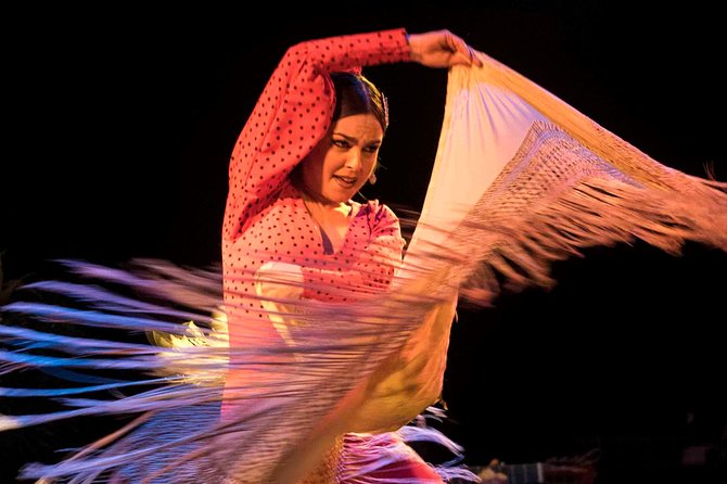 Flamenco Show Ticket at Theatre Barcelona City Hall - Photos, lighting, and what your camera will or will not do
