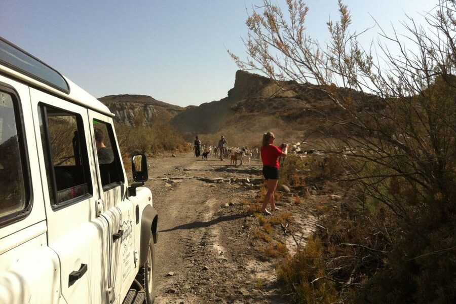 From Almeria: Tabernas Desert 4WD Joyriding Tour - Why Tabernas Feels Like Another World in Two Hours