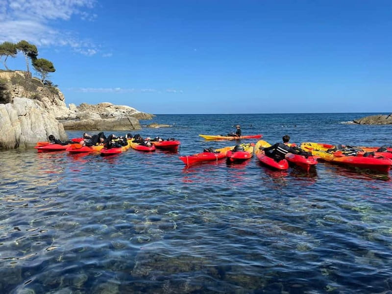 From Barcelona: Costa Brava Kayak & Snorkel Tour with Picnic - Snorkeling With Included Gear: Silver Fish and Sea Creatures