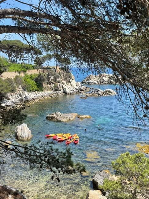 From Barcelona: Costa Brava Kayak & Snorkel Tour with Picnic - Learning on the Water: Endemic Plants, Sea Life, and Birds