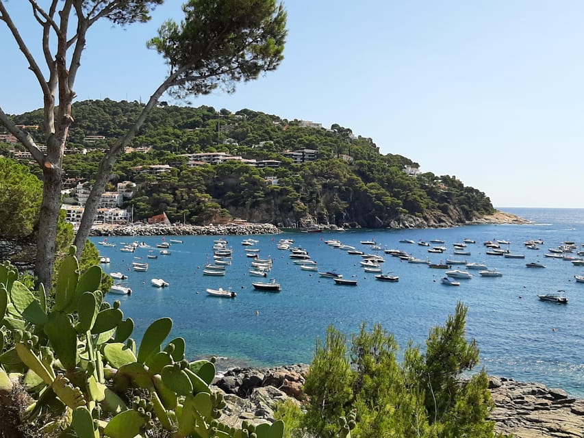 From Barcelona: Costa Brava Typical Towns full day tour - Llafranc Free Time: Lunch options and a real swim window