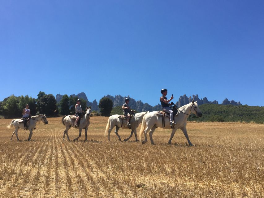 From Barcelona: Horseback Tour in Montserrat National Park - Montserrat Abbey: how the architecture and statue shape your visit