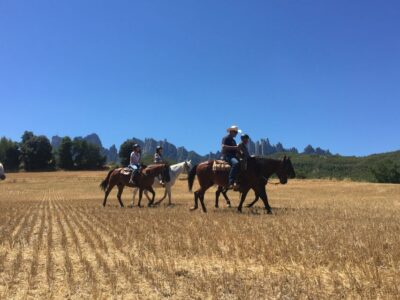 Horseback Tour in Montserrat National Park