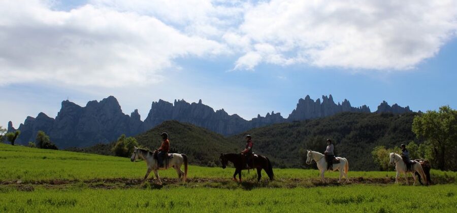 From Barcelona: Horseback Tour in Montserrat National Park - The local market time: regional products, not a long shopping spree