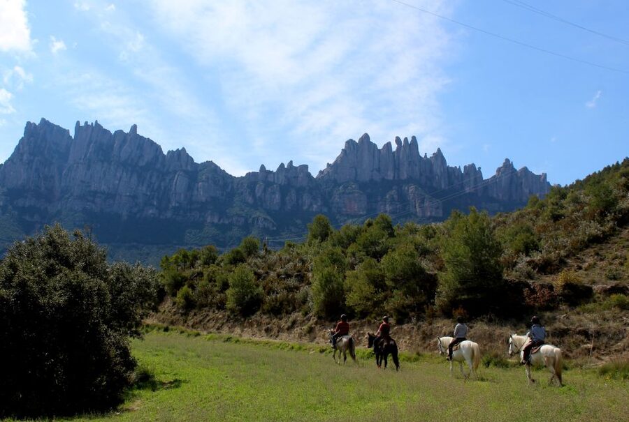From Barcelona: Horseback Tour in Montserrat National Park - At the ranch: meeting your horse and getting ready to ride