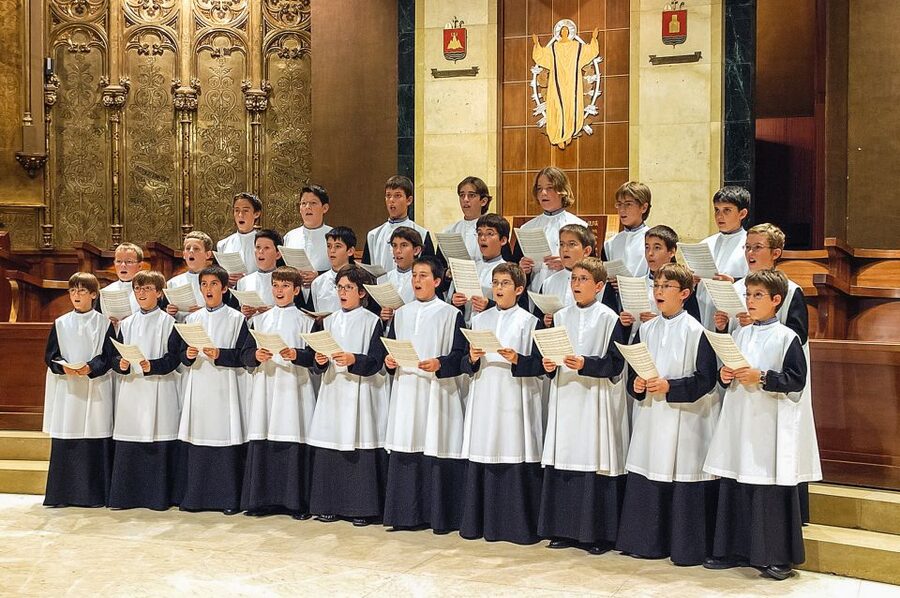 From Barcelona: Montserrat Day Trip with Optional Tickets - Basílica de Montserrat: the moment you understand the mountain’s pull
