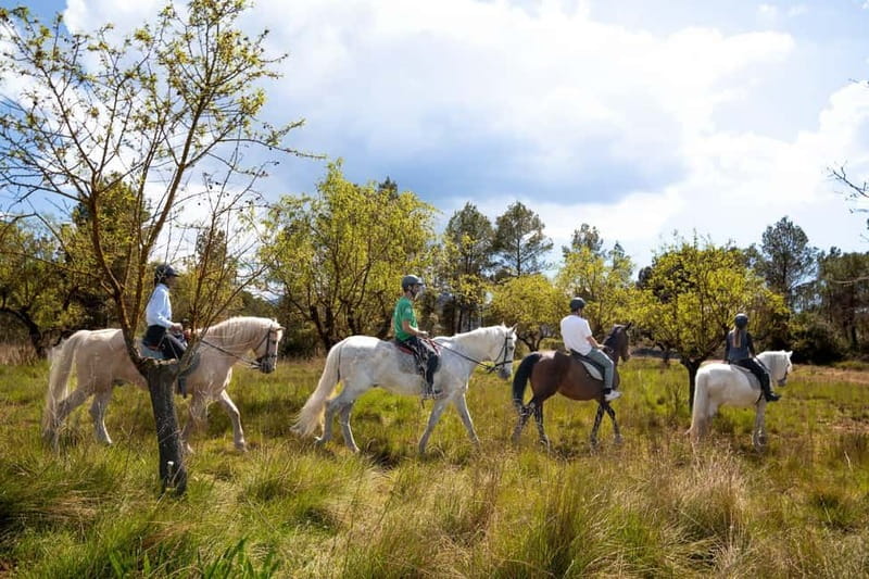 From Barcelona: Montserrat Walking and Horseback Riding Tour - Key Points You Should Know Before You Go