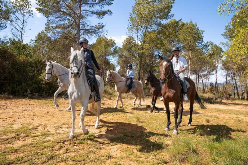 From Barcelona: Montserrat Walking and Horseback Riding Tour - Price and Value: Is $116 Worth It?