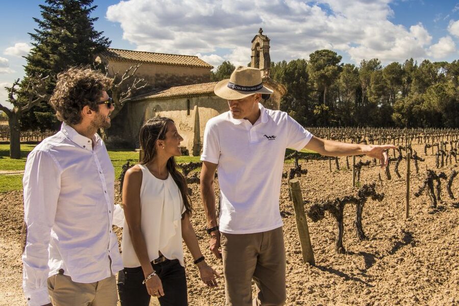 From Barcelona: Penedés Vineyards Tour by 4WD w/Wine & Cava - Should you book this tour from Barcelona?