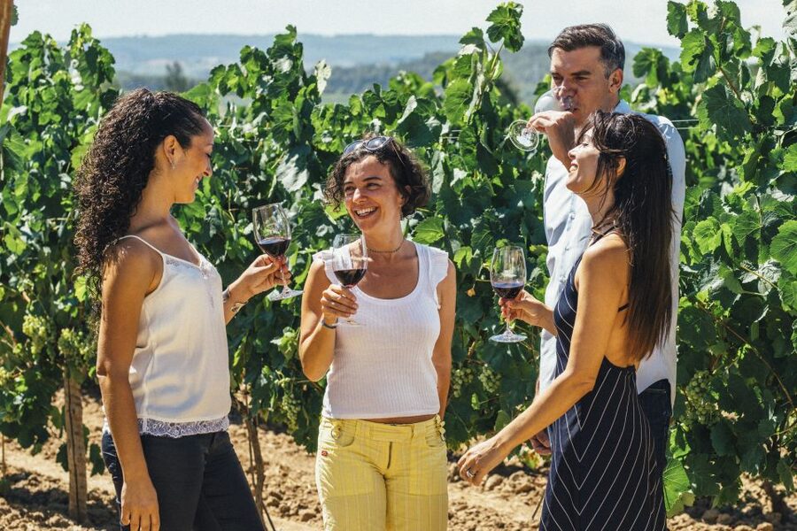 From Barcelona: Penedés Vineyards Tour by 4WD w/Wine & Cava - The 4WD vineyard ride: feeling the Penedès vines up close