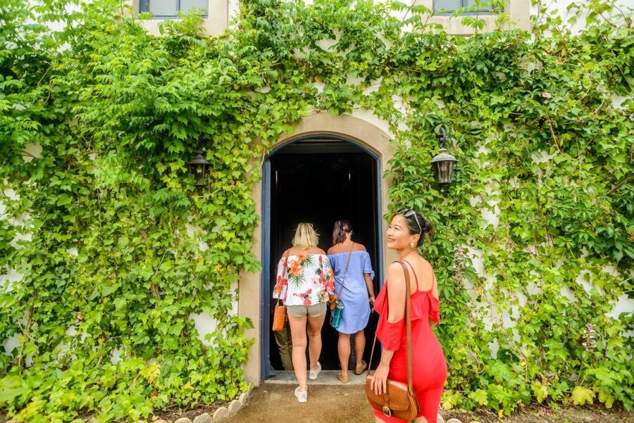 From Barcelona: Penedés Vineyards Tour by 4WD w/Wine & Cava - Who should book this Penedès 4WD wine and cava day