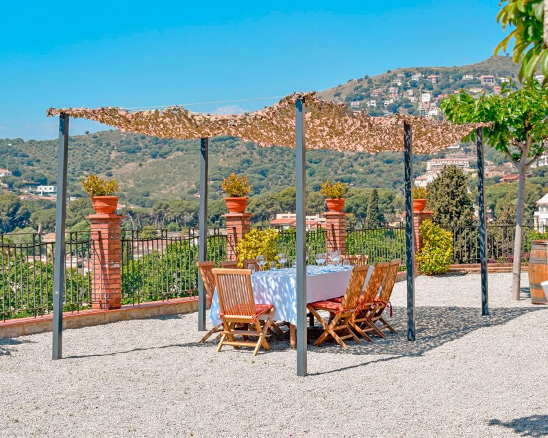 From Barcelona: Private Alella Wine Tour by Electric Bike - Key highlights worth knowing