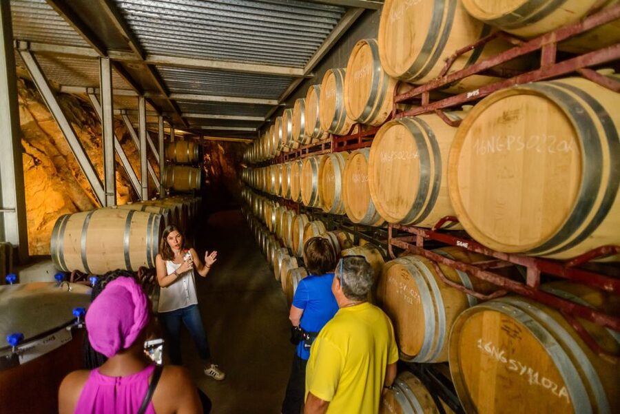 From Barcelona: Private Alella Wine Tour by Electric Bike - Should you book the Barcelona to Alella e-bike wine tour?