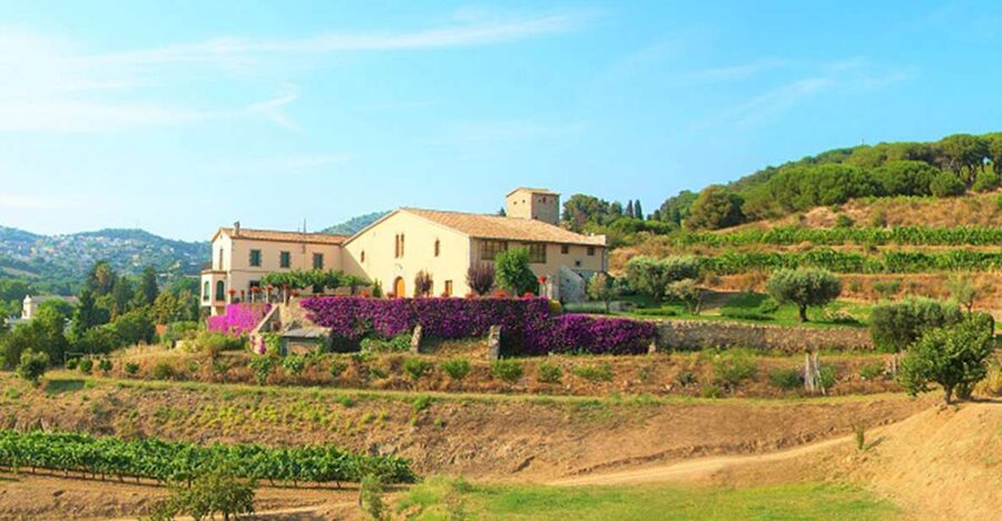 From Barcelona: Private Alella Wine Tour by Electric Bike - From Gothic Quarter to the coast, you’re in motion fast
